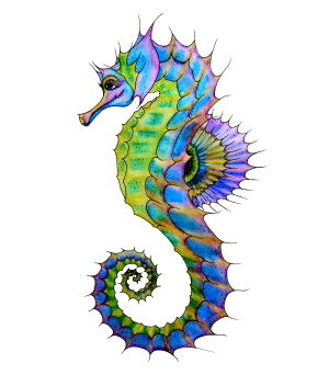 a beautiful  sea horse